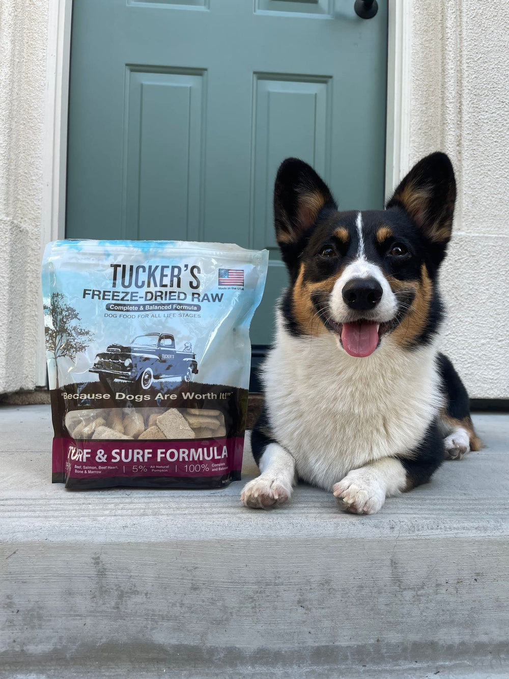 Empaque práctico para almacenar y llevar Tucker's Turf & Surf.