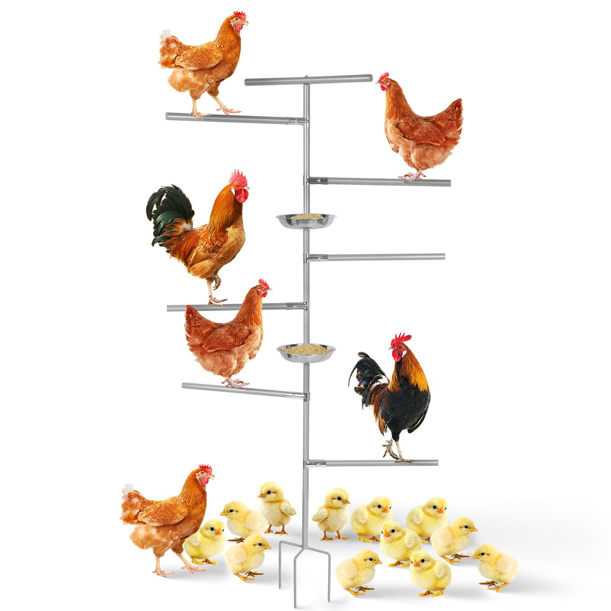 Tuenort percha 5 pies para pollo aporta posición estable en el gallinero