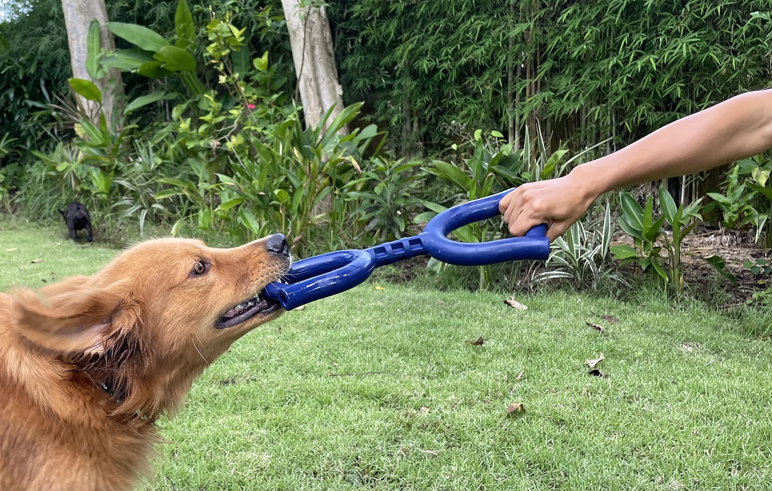 Juguete para juego social sostenido y vínculo entre tú y tu perro.