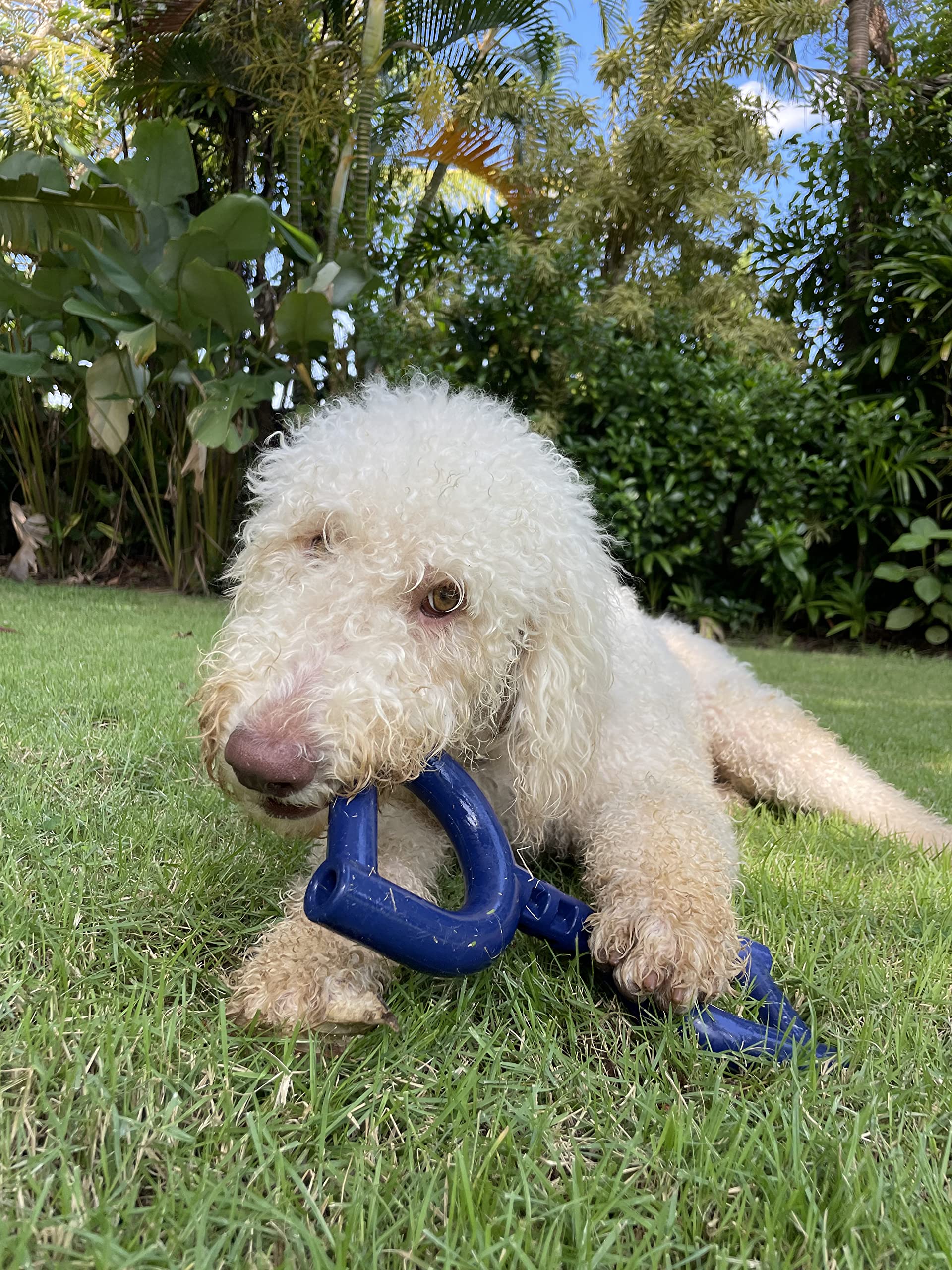 Juguete recomendado para perros medianos y grandes durante entrenamientos.