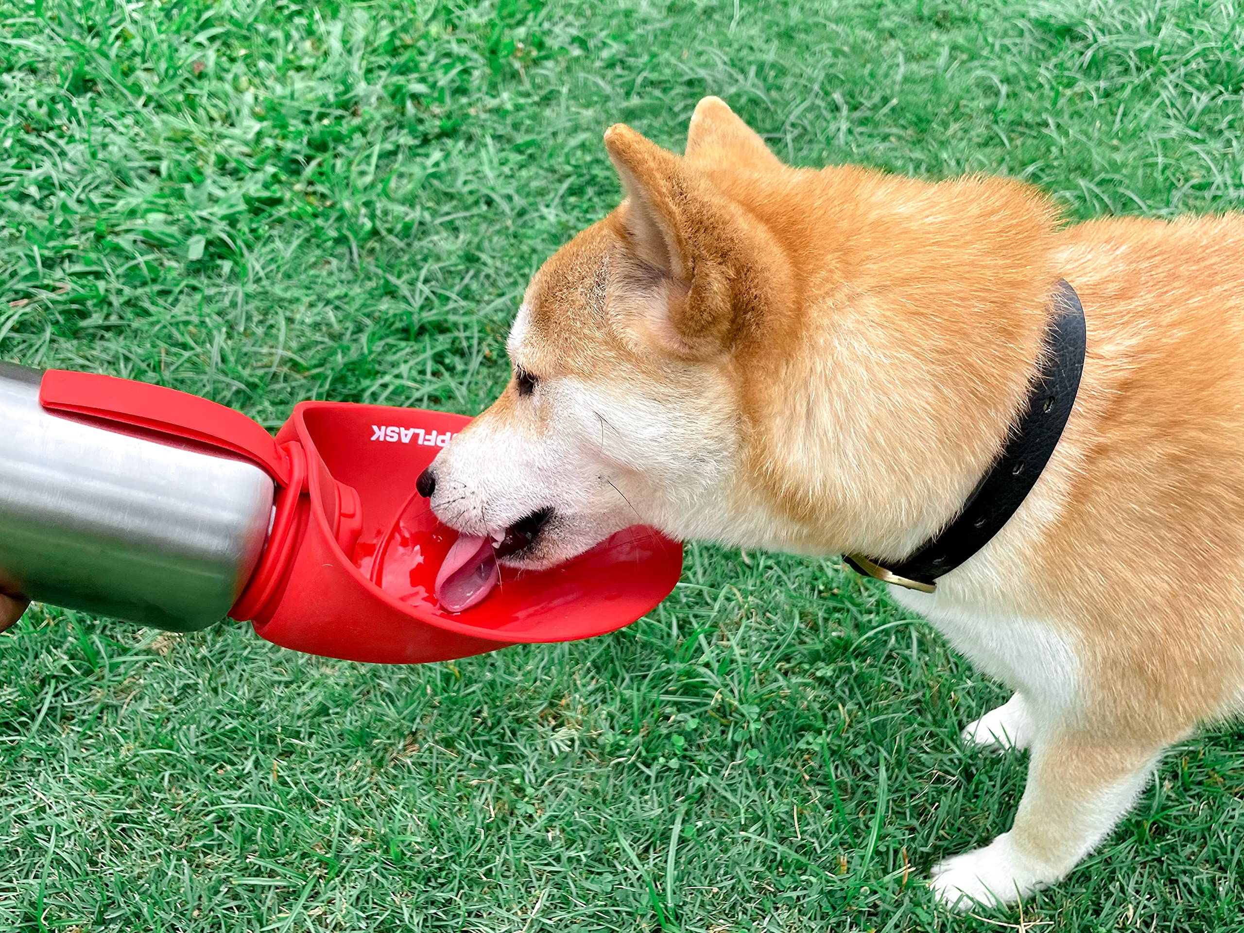PupFlask accesorio transportable ideal para viajes y parques.