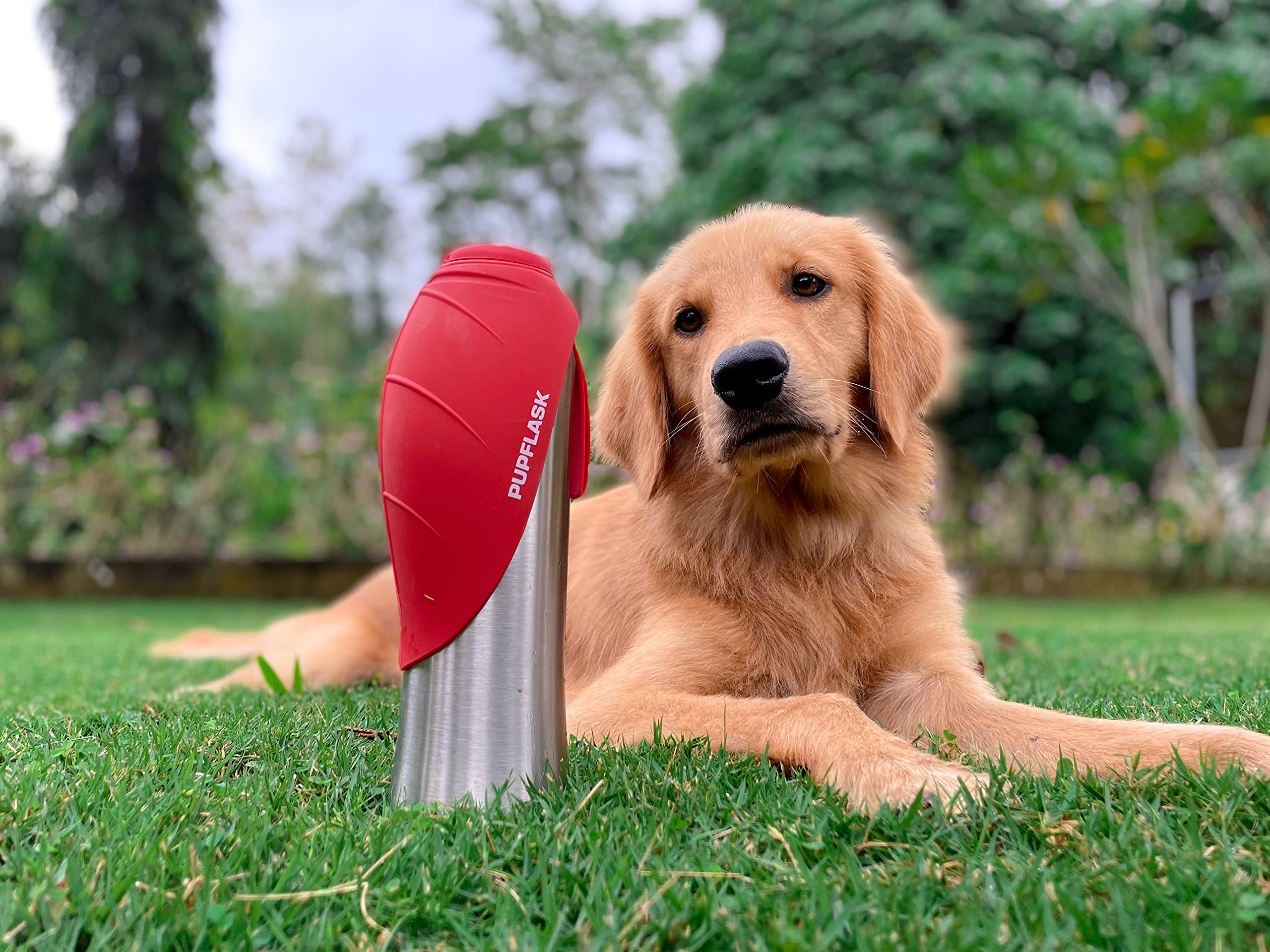 PupFlask de Tuff Pupper, materiales aptos para alimentos y sin olores.
