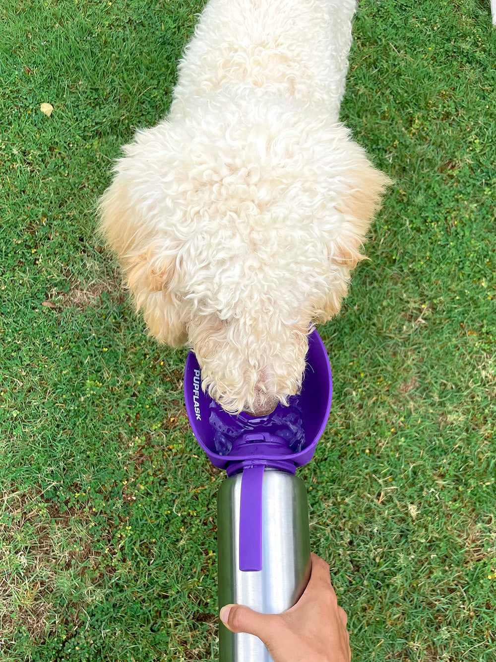 PupFlask para todas las razas, tamaño adaptable para perros