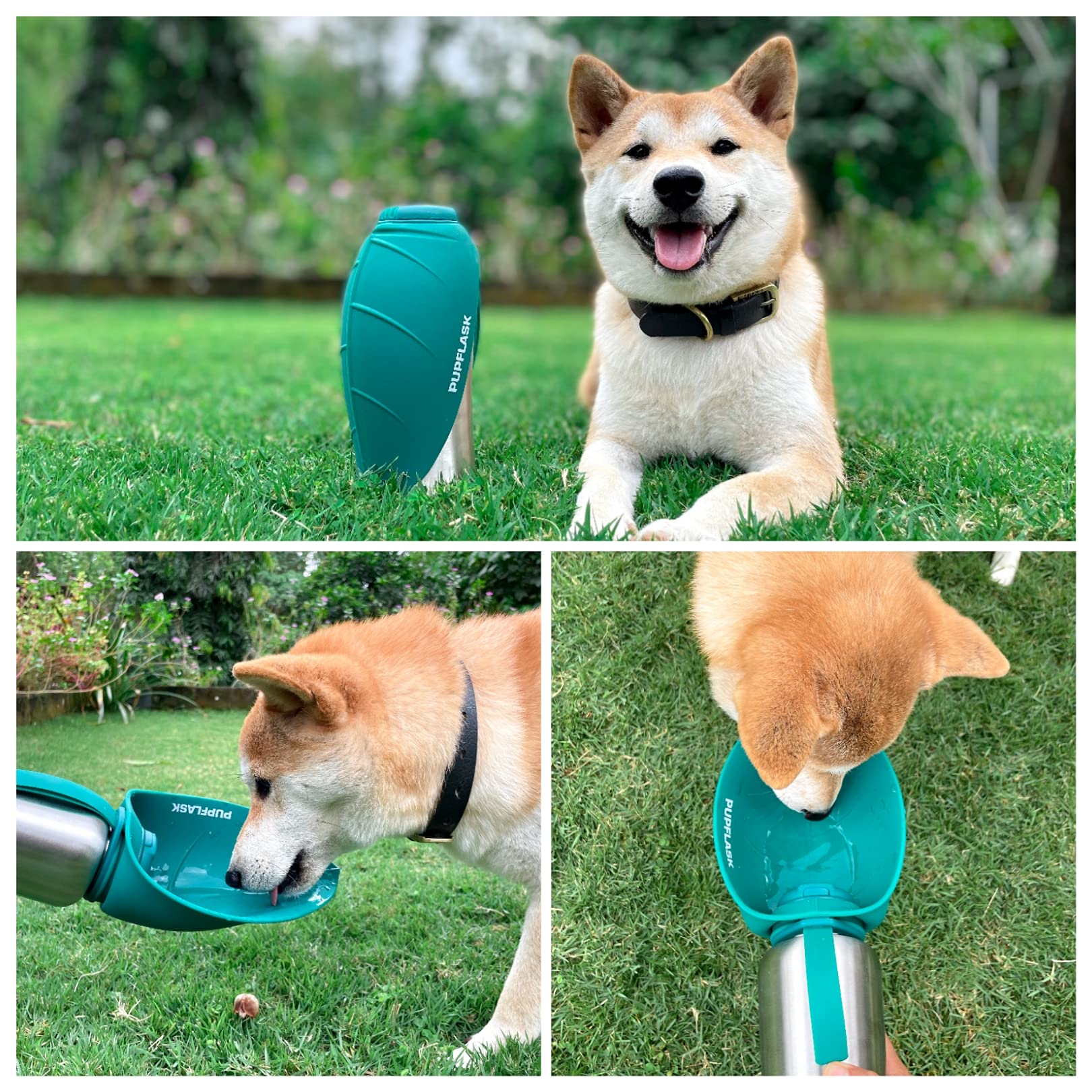 PupFlask para viajes, ideal para perros activos.