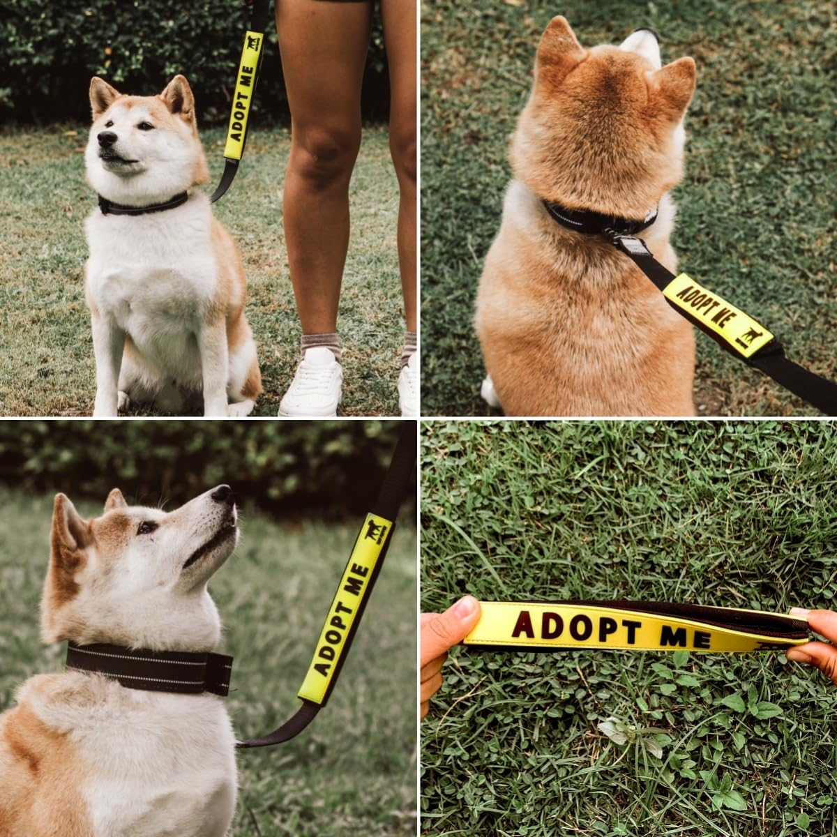 Tuff Pupper resistencia-olor, mantiene la correa fresca durante paseos.