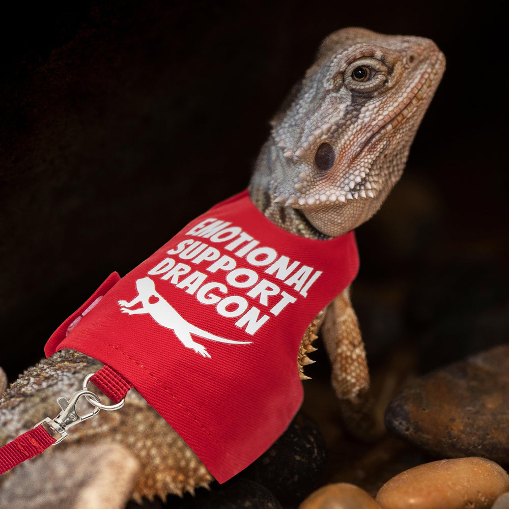 Diseño con impresión 'Emotional Support Dragon' en el arnés de TUKOAW.