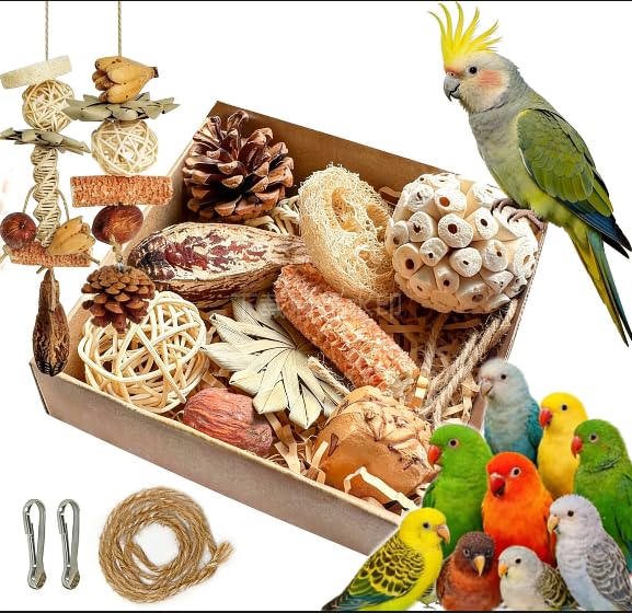 Tyotrbs: accesorio ecológico para aves, promueve juego seguro y bienestar ambiental.