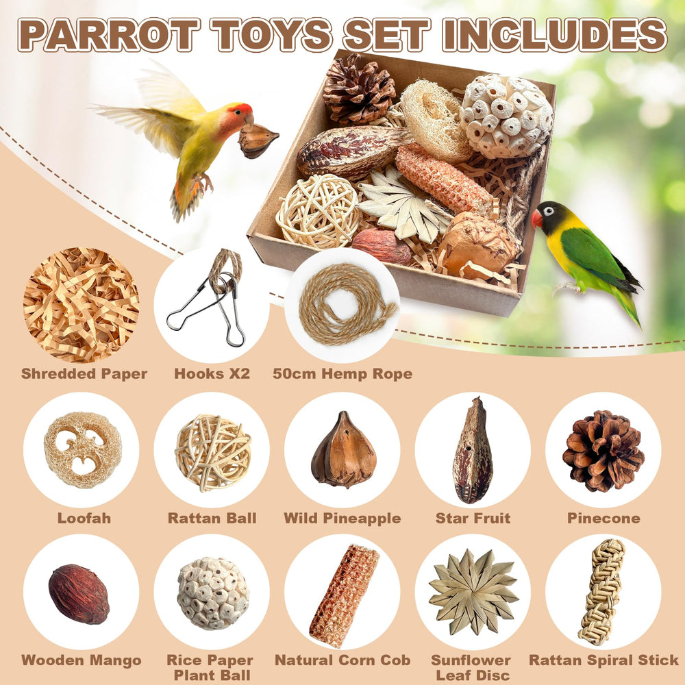 Tyotrbs: conos de pino con clavos, masticación natural para aves de tamaño medio.