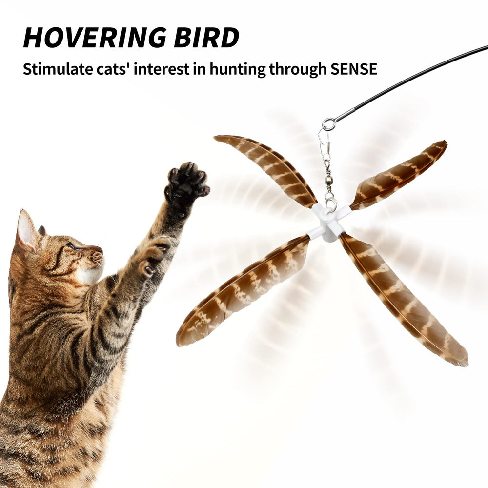 uahpet mariposa tricolor, movimiento visual que capta la atención del gato.