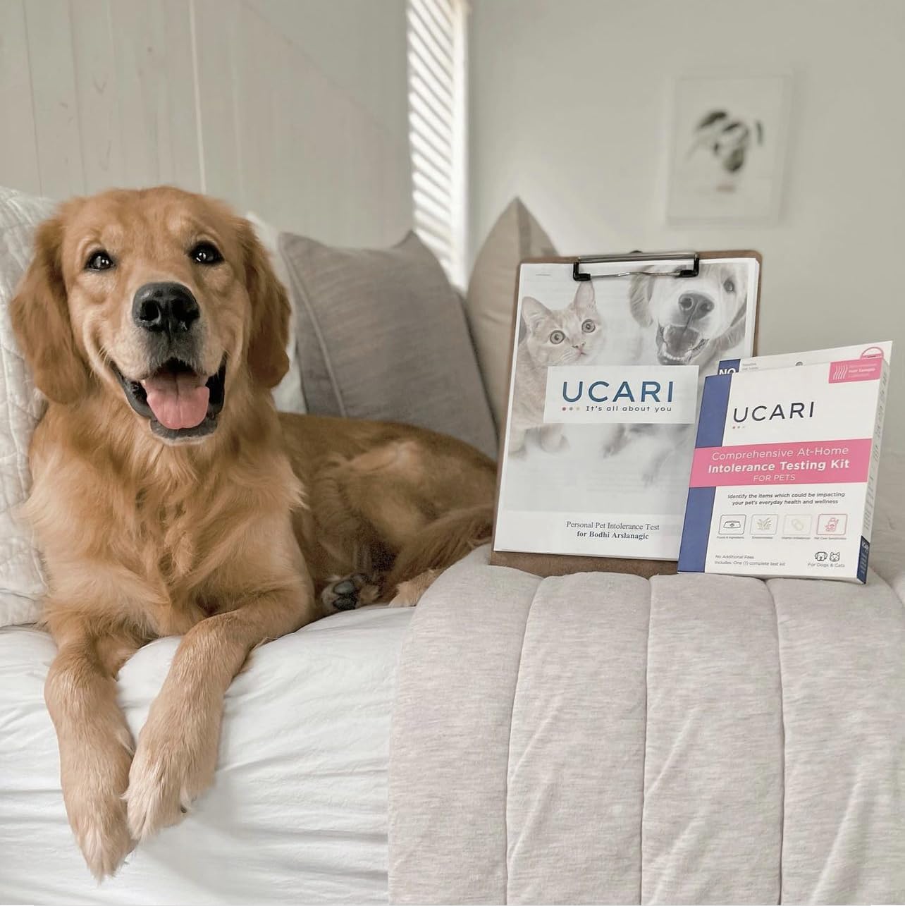 UCARI informe práctico para ajustar dieta y entorno de tu mascota.