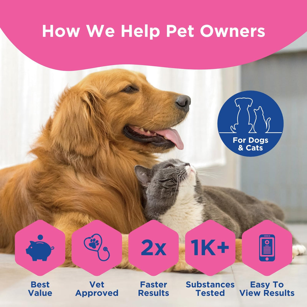UCARI muestra de pelo de perro para identificar sensibilidades sin dolor.