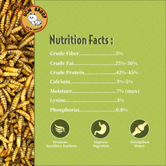 UCM Group 5lb larvas mosca soldado negra, alto calcio y proteína para nutrición.