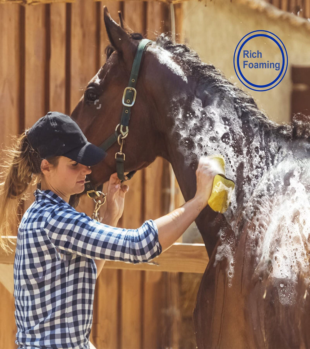 Ueemph kit caballos peine de acero para peinado y orden