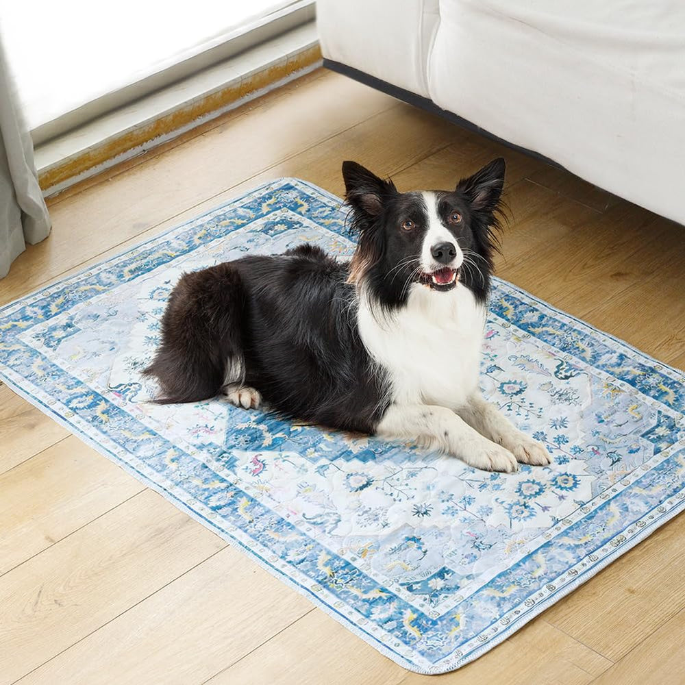 ULIGOTA diseño moderno de almohadillas para perros, estética y función.