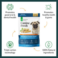 Perro masticando Canine Fresh para aliento más fresco.