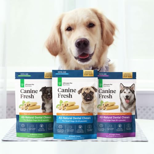 Propolis y curcumina blanca en Canine Fresh para encías saludables.