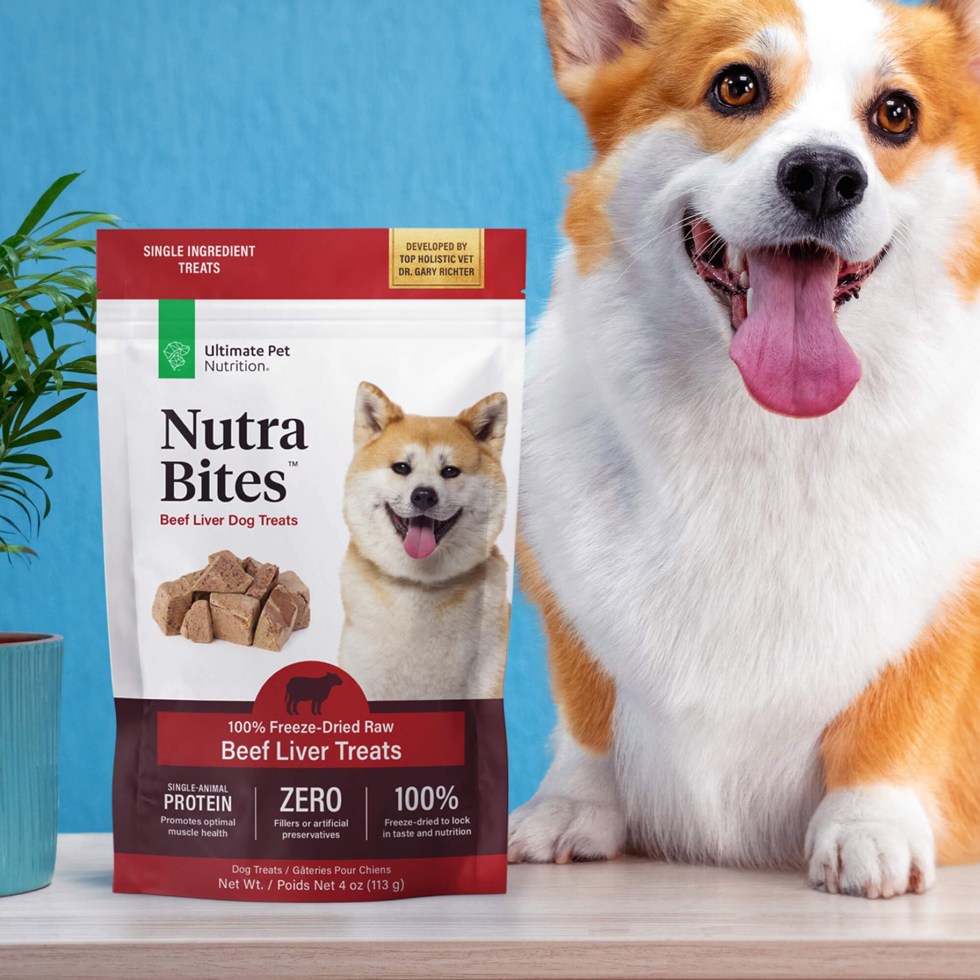 Nutra Bites de Ultimate Pet Nutrition: snack sabroso para perros exigentes durante la rutina.