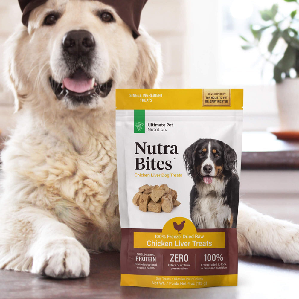 Nutra Bites topper para comida, proteína de calidad