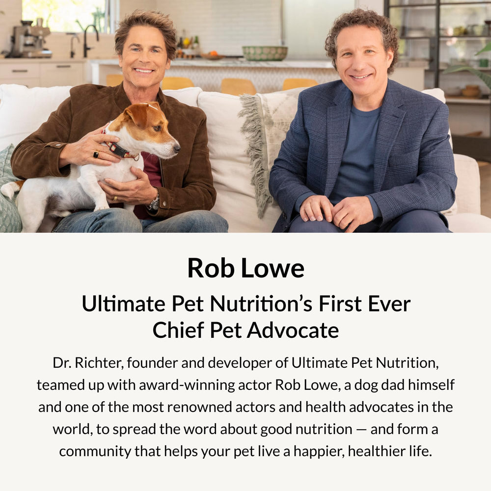 ULTIMATE PET NUTRITION Nutra Complete Infusions: apoyo para la inmunidad del perro