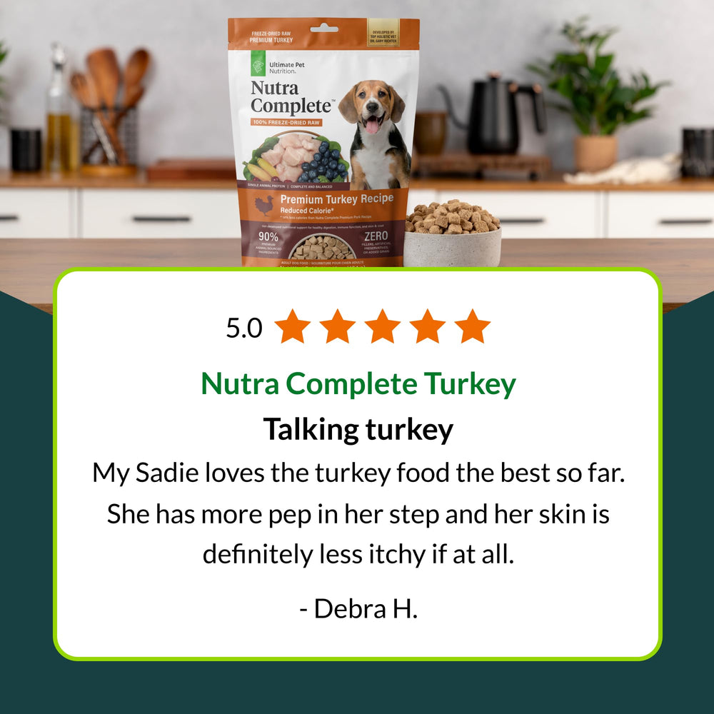Nutra Complete: alimento completo para perros activos y felices.