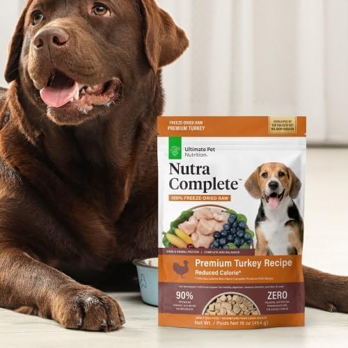 Nutra Complete reconoce la unicidad de cada perro y la posibilidad de resultados variados.