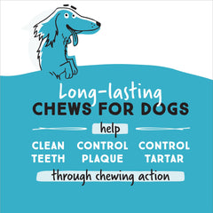 Ultra Chewy Double Treat Bones duraderos para perros grandes.
