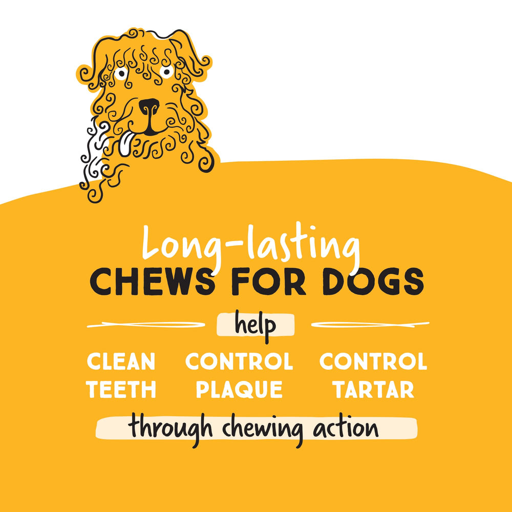 Chien en train de mâcher Ultra Chewy Os Double Friandises au Poulet, distraction durable