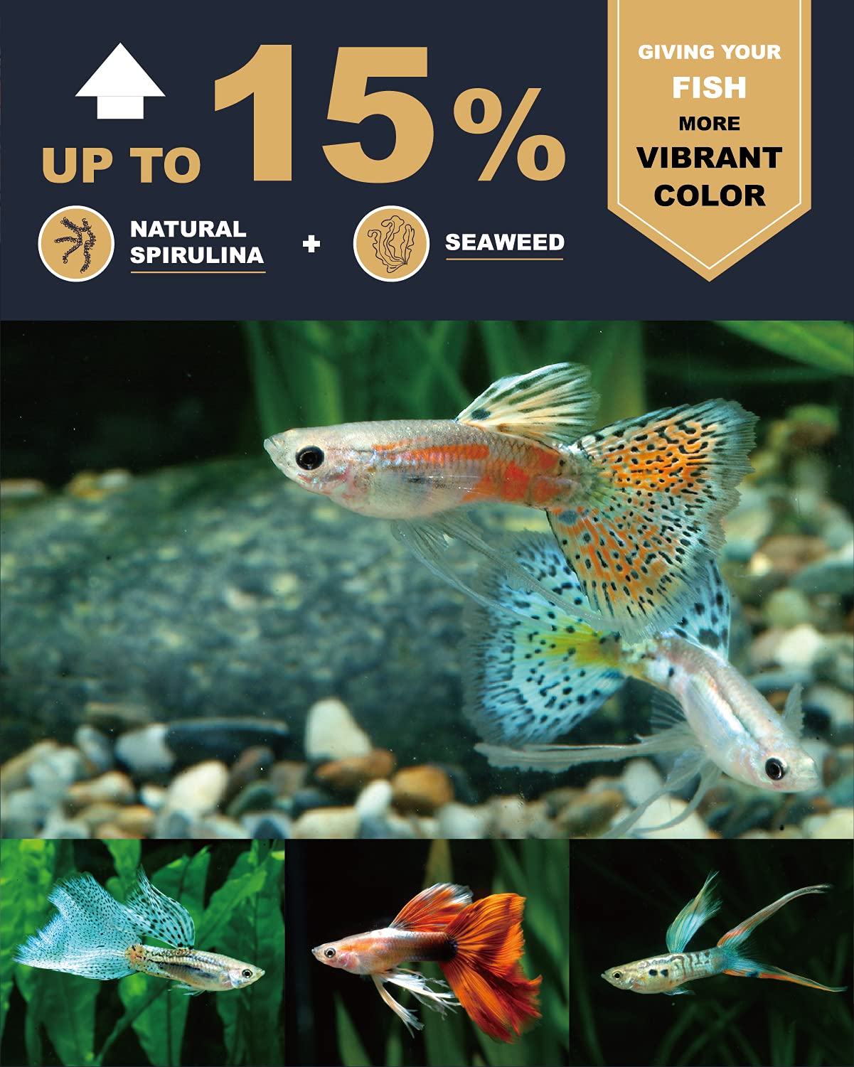 Vitaminas para crecimiento equilibrado en guppies