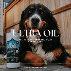 Ultra Oil Skin & Coat Supplement pelaje-brillante en perros y gatos.