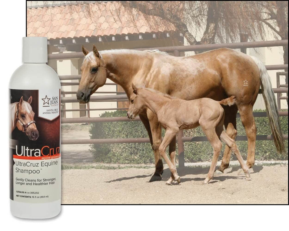 UltraCruz Champú Equino: balance de pH para piel tranquila en caballos