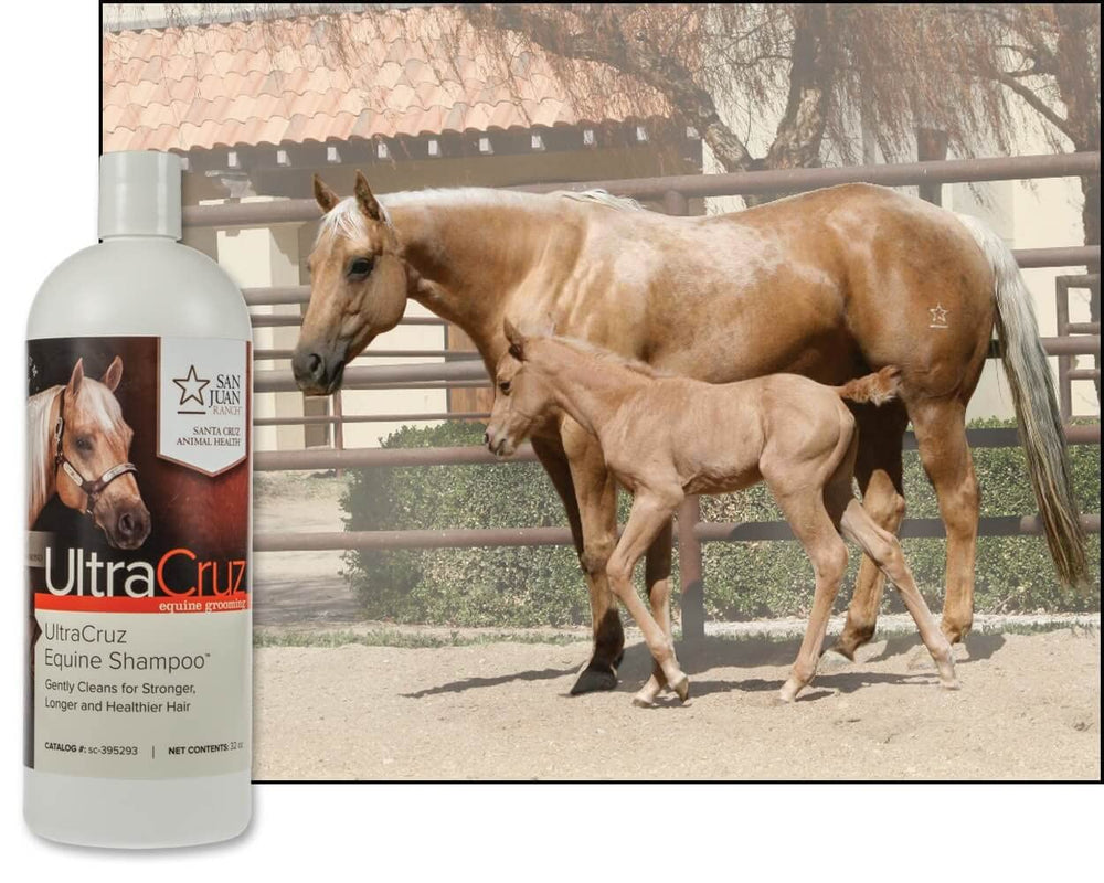 UltraCruz champú equino piel sin irritacion, ideal para caballos sensibles