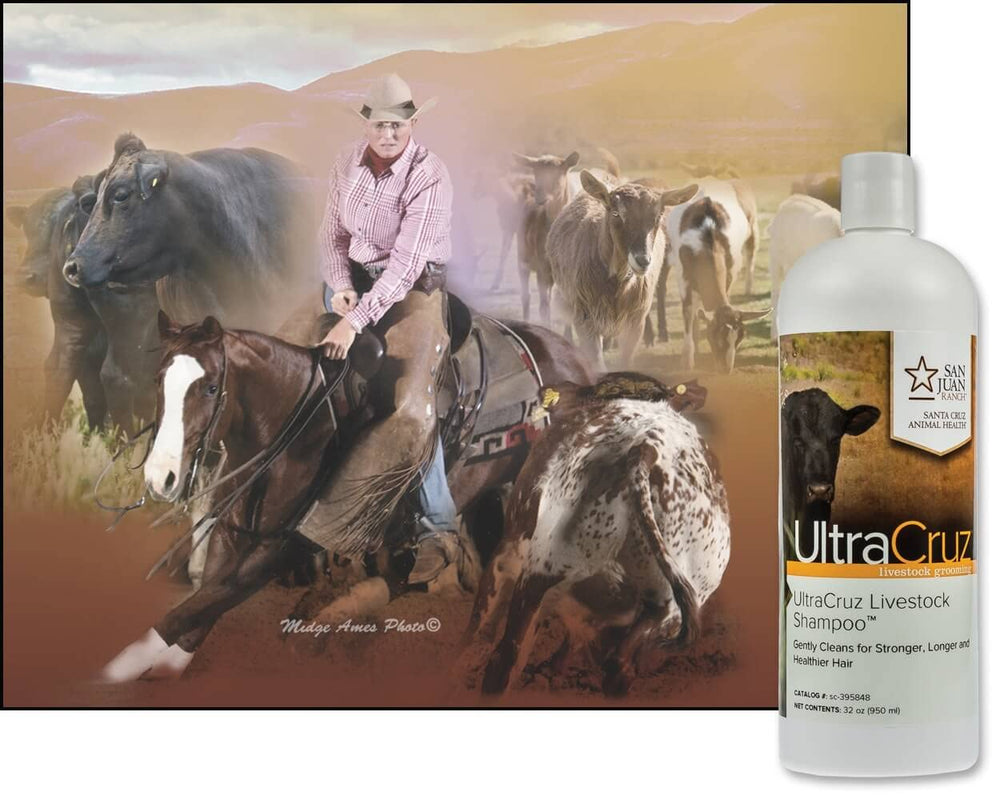 UltraCruz Champú para Ganado, proteínas y vitaminas para fortalecer el pelaje