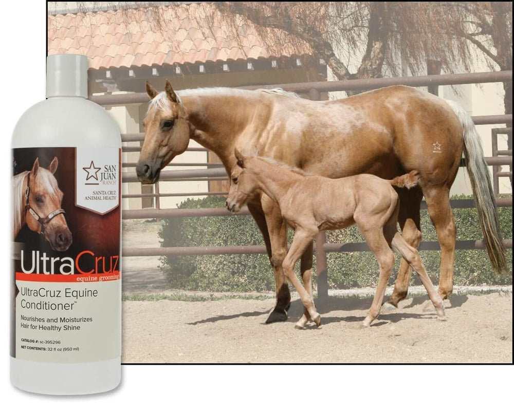 Cuidado de la piel del caballo con UltraCruz ayuda a evitar sequedad.