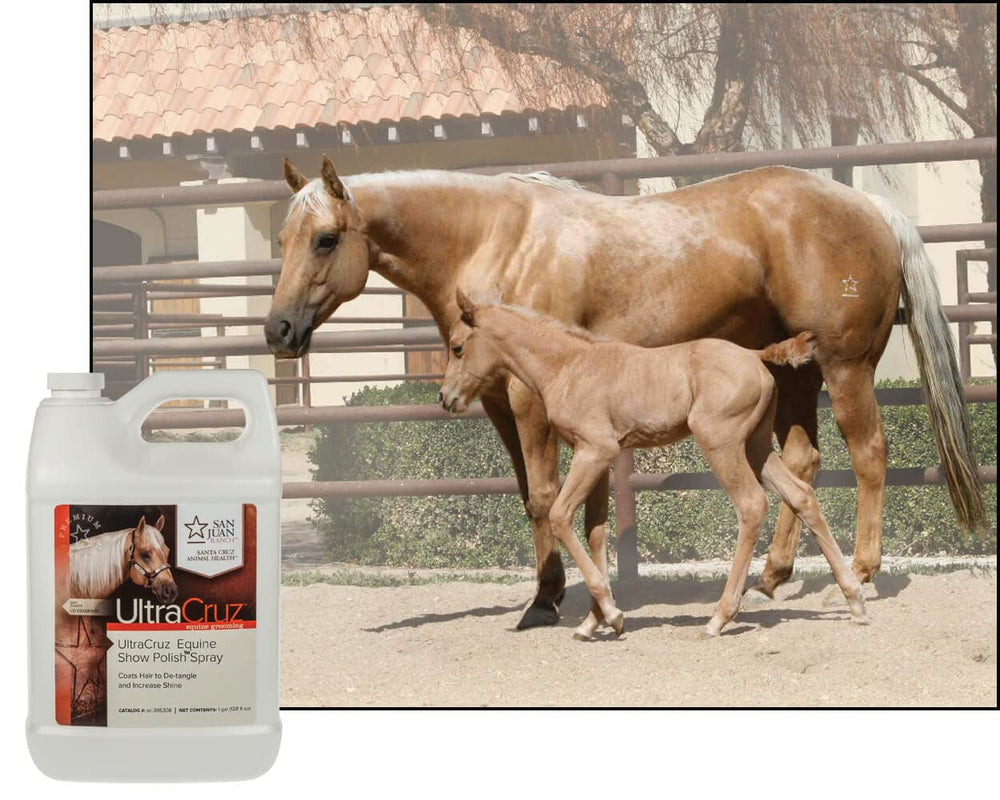 UltraCruz Equine Show Polish Spray: acabado lustroso para exhibiciones y competencia