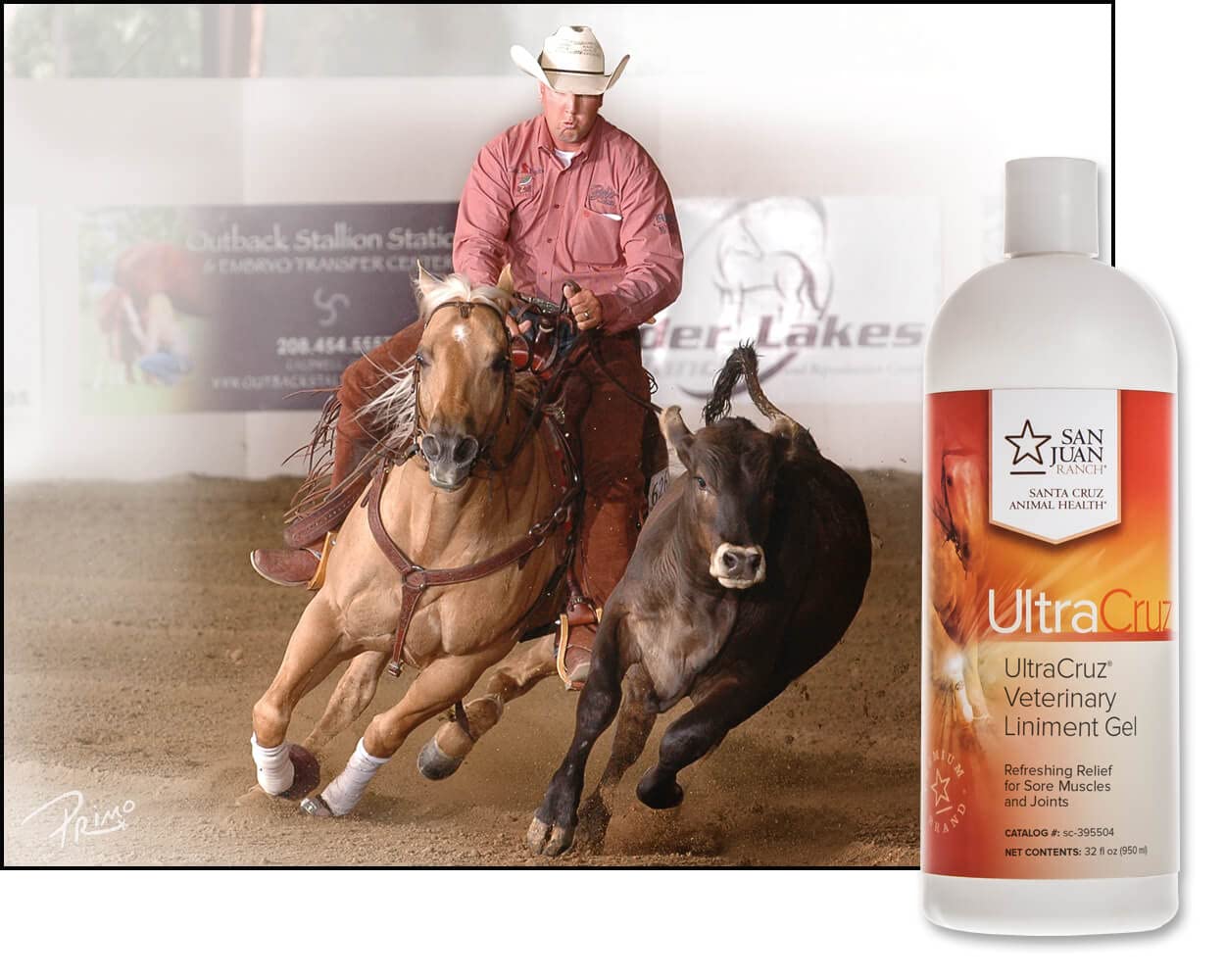 Ingredientes naturales de UltraCruz linimento gel: caléndula ajenjo y echinacea.
