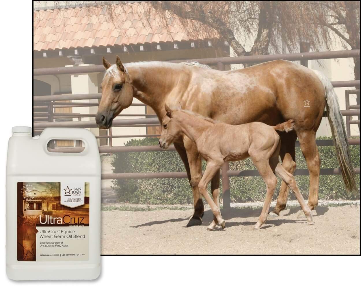 UltraCruz suplemento equino, aceite de sabor agradable, aporta calorías extra y energía.