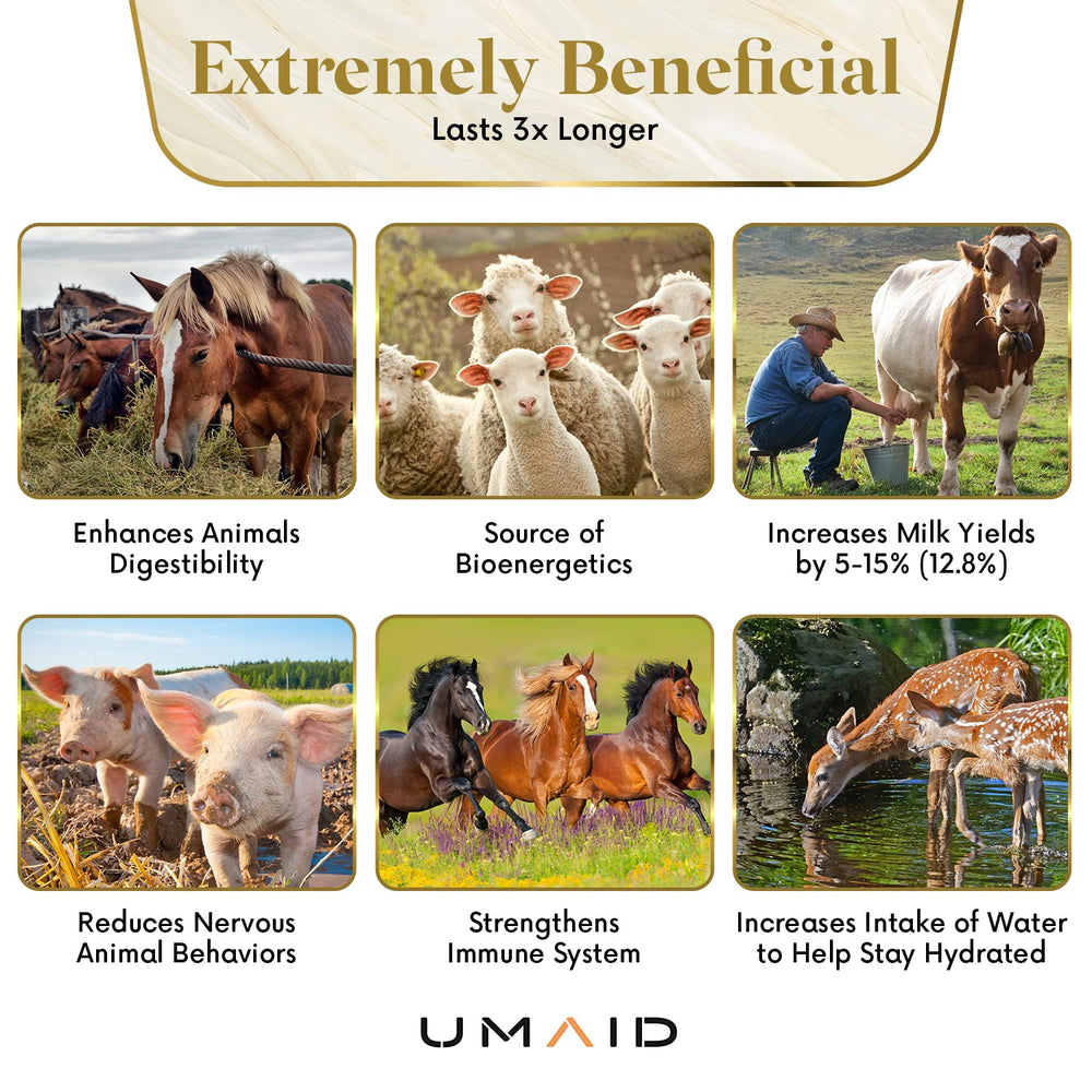 UMAID Sal Himalaya para alpacas: minerales esenciales para el bienestar.