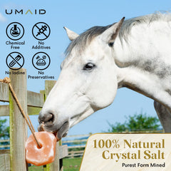 UMAID Sal Himalaya para cabras: aporte mineral diario.