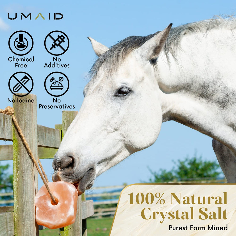 UMAID sal de Himalaya en cuerda para cabras, ideal como snack mineral