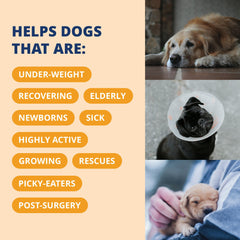 Aplicación sobre comida o directamente en boca con Under the Weather.