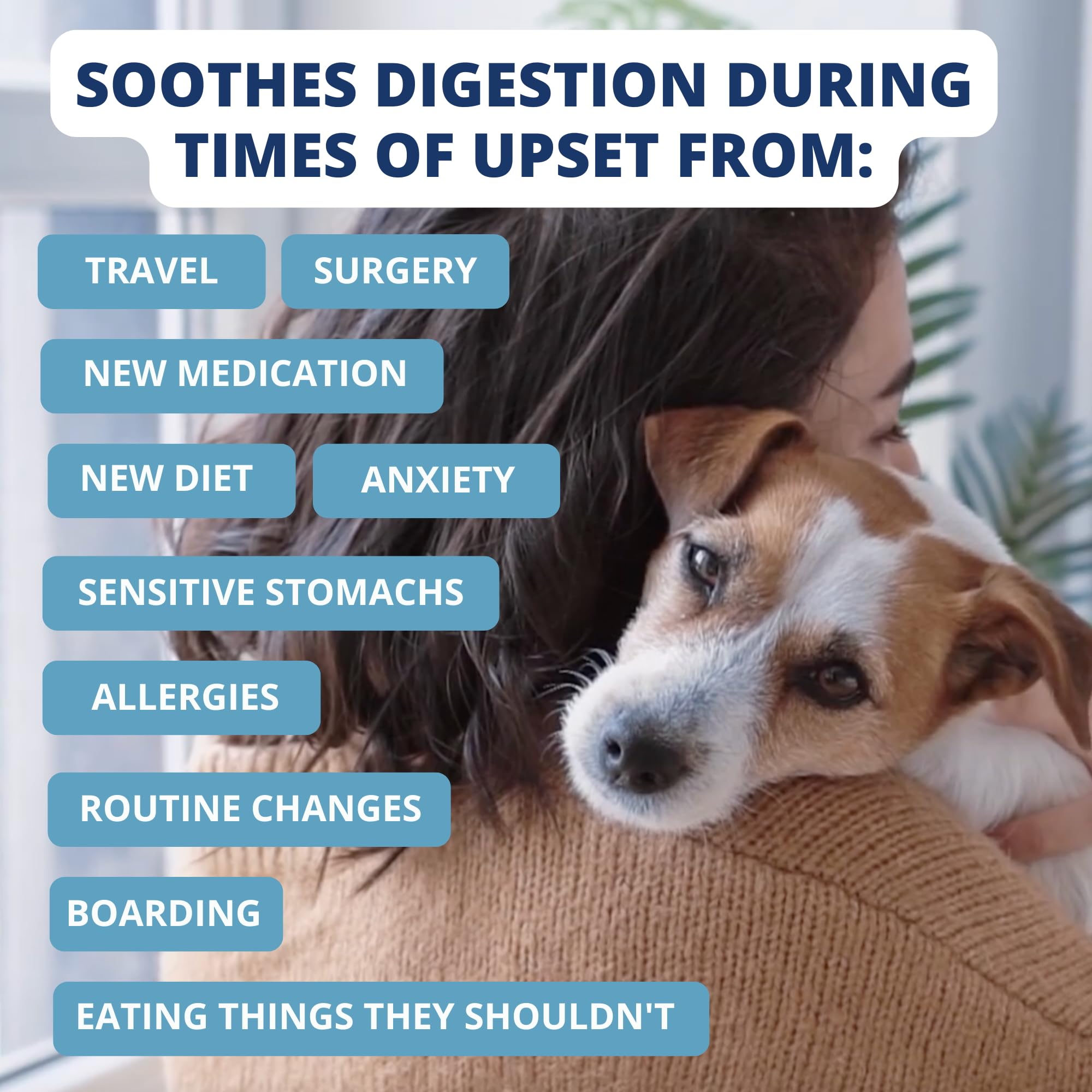 Under the Weather Bland Diet para perros, opción práctica para emergencias de alimentación.