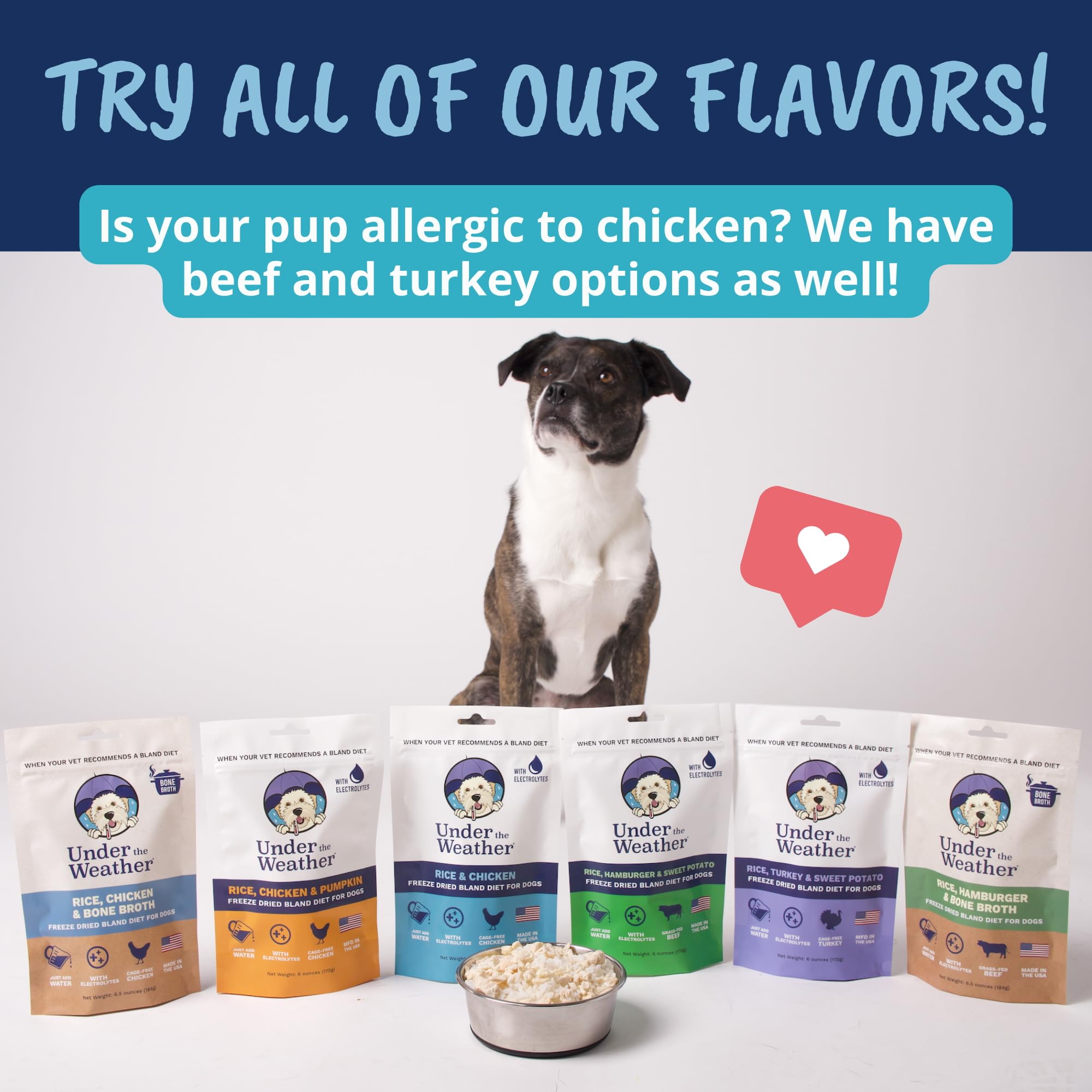Under the Weather Bland Diet para perros, ayuda a hidratación durante cambios de rutina.