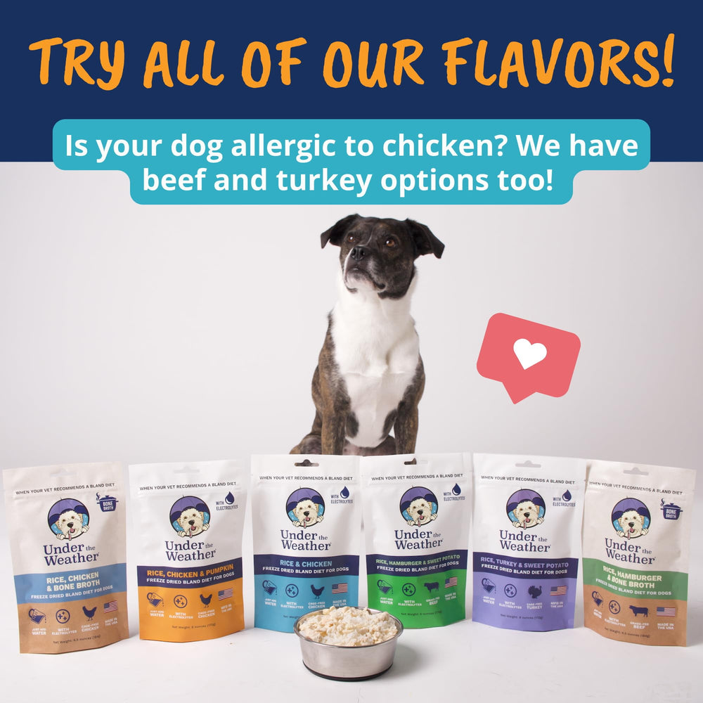 Under the Weather dieta blanda para perros - fabricado en EE UU con ingredientes de grado humano
