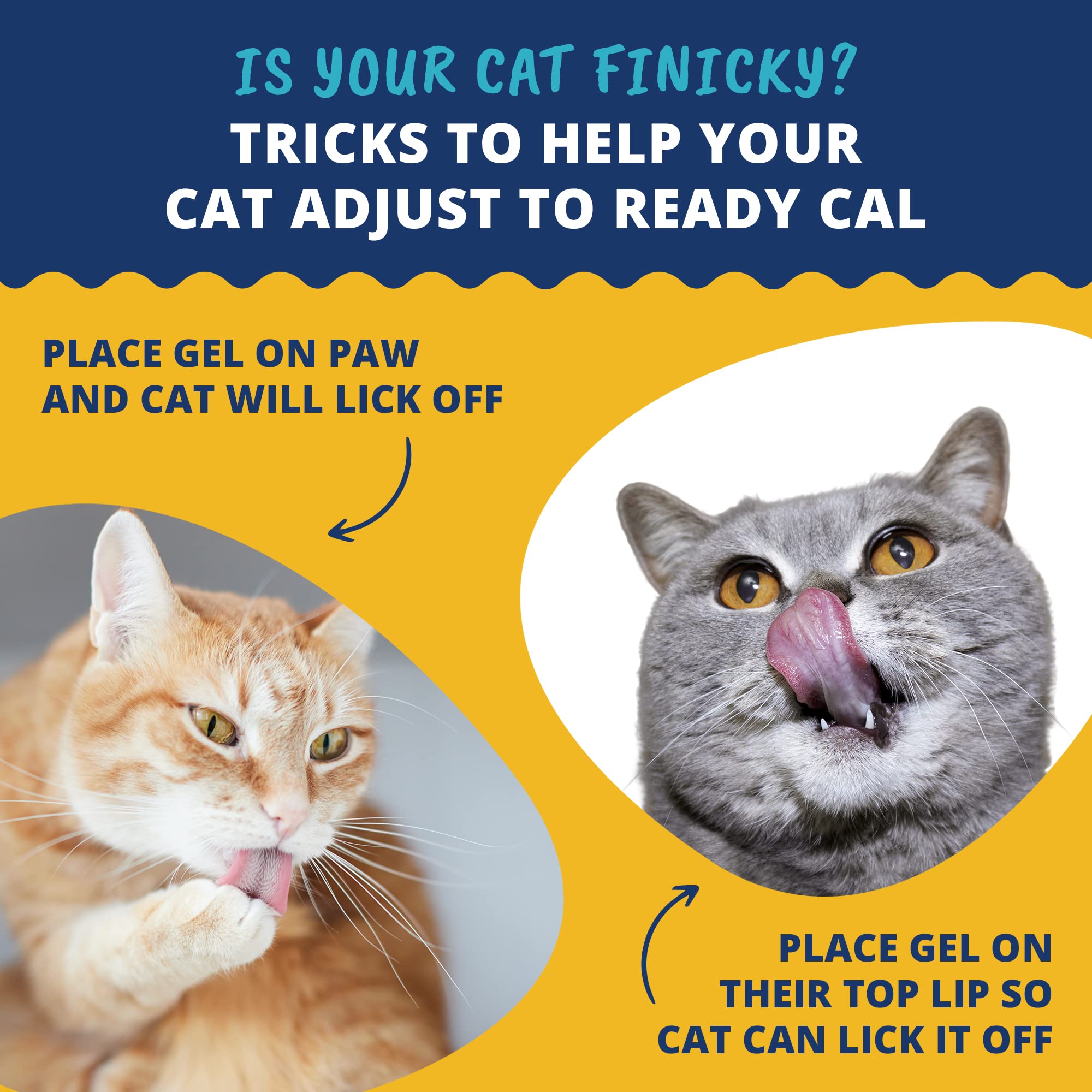 Under The Weather Ready Cal para Gatos, dosificación precisa para cada dosis.