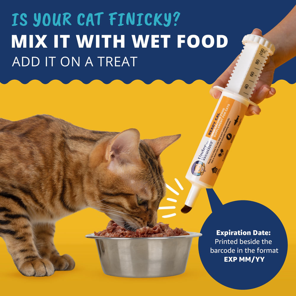Under The Weather Ready Cal para Gatos, gato comiendo gel para favorecer la ingesta.