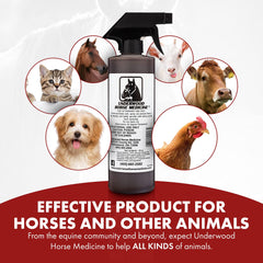 Underwood Horse Medicine cuidado de cortes y raspones en caballos, seguro y cómodo.
