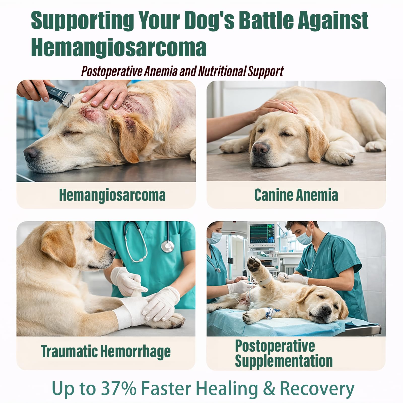Unikuche Yunnan Sanqi para perros, apoyo ante hemangiosarcoma sangrado