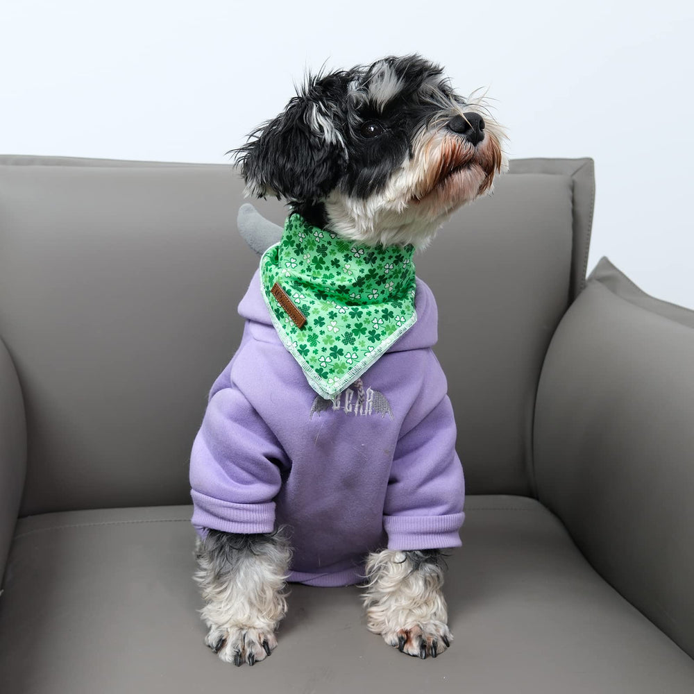 Bandana UP URARA PUP patrón trébol verde, perfecto para celebraciones