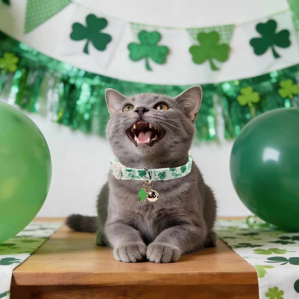 UP URARA PUP collar gato dos-paquetes para variedad