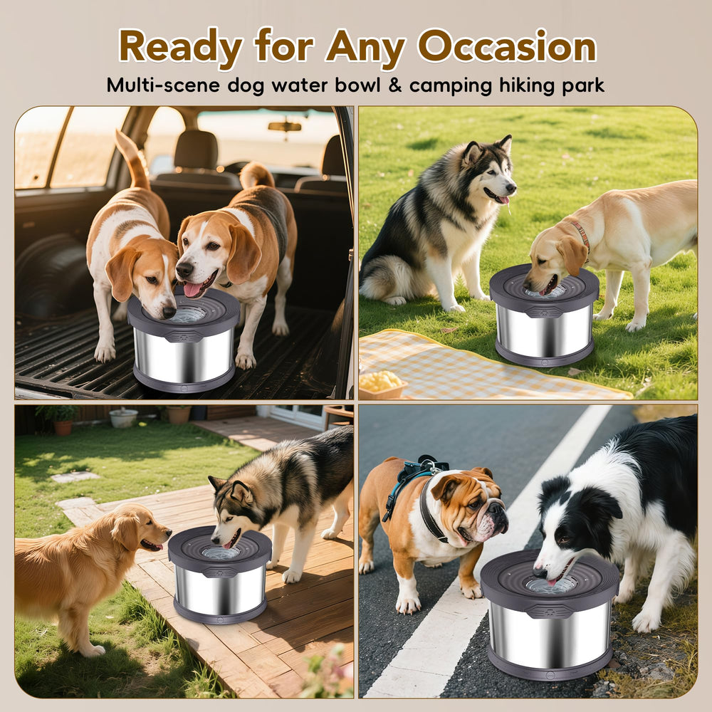 Upsky bol-agua-perro-filtro-removible reduce impurezas para beber más limpio.